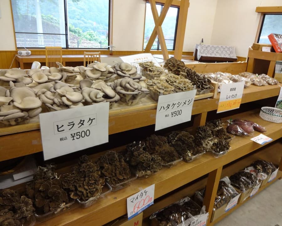 キノコ
